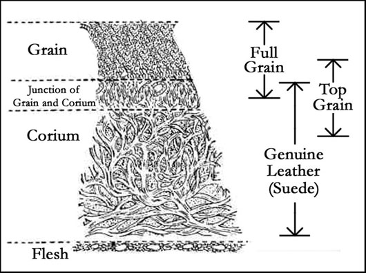 leather_cross_section