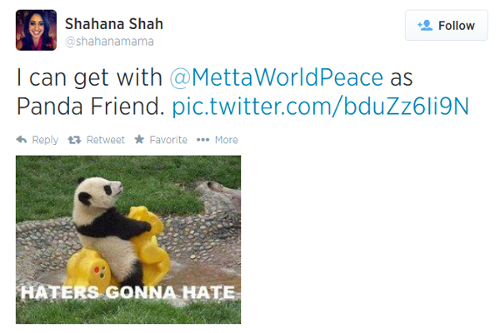 the-panda-friend-tweet2