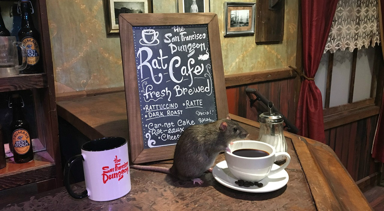 rat-cafe-san-francisco