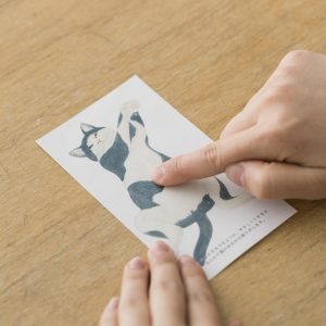 scratch-sniff-cards-pet-bellies