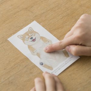 scratch-sniff-cards-pet-bellies