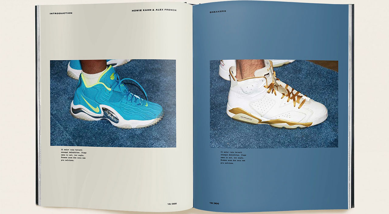 sneakers-a-book