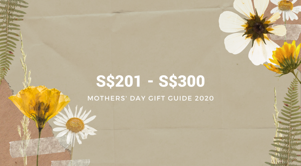 Mother’s Day Gift Guide Budget 3 image
